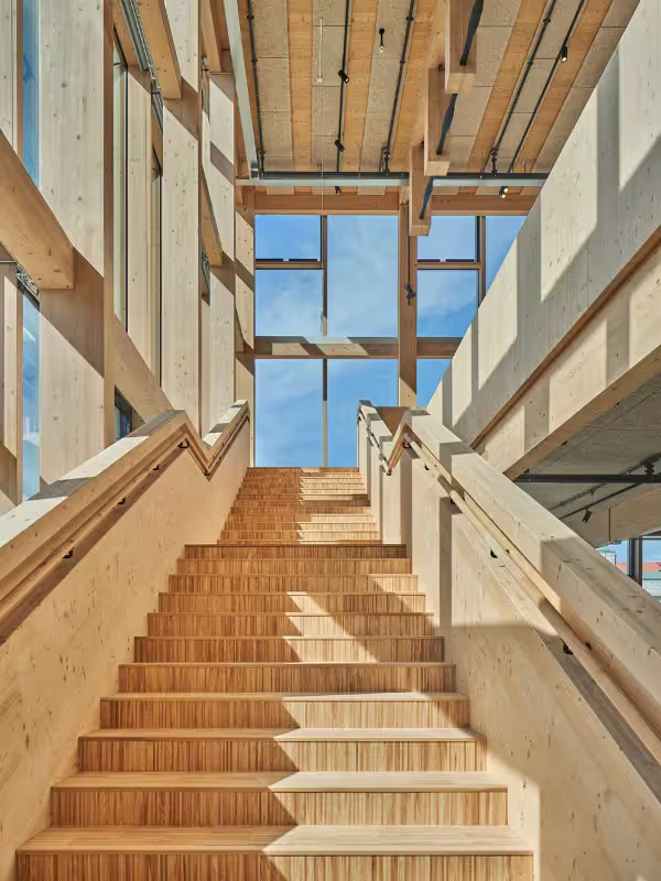 Sunlit interior staircase made entirely of laminated timber, surrounded by structural wooden beams and large windows framing the sky. The design highlights natural material warmth and clean architectural lines.